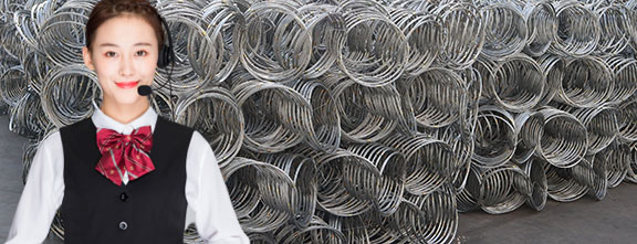 �ڼ���̎�w�F�B�ȶ�����ֵ����